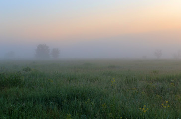 Obraz premium A dawn early