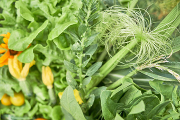 Heap of green vegetables and herbs close up. Healthy natural food