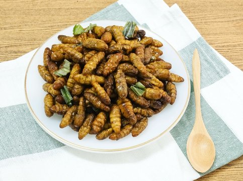 Deep Fried Coconut Worms on A White Dish