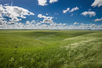 Obraz premium Природный памятник на юге Забайкалья 