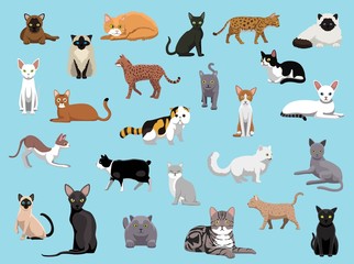 25 Cat Breeds Cartoon Vector Illustration