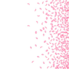 Sakura petals falling down. Romantic pink silky small flowers. Thick flying cherry petals. Scatter r