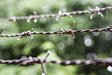 barb fence with rain drops as background