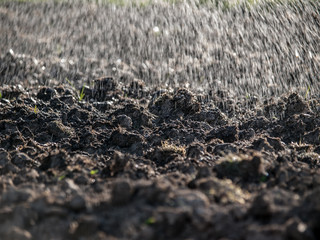 Spraying water over cultivated land