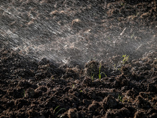 Spraying water over cultivated land