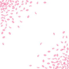 Sakura petals falling down. Romantic pink silky small flowers. Thick flying cherry petals. Abstract 