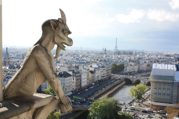 Fototapeta premium Notre Dame Paris France gargoyles 