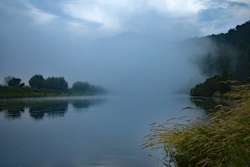 nebel im sommer