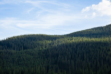 Landscape in the Ukrainian Carpathians