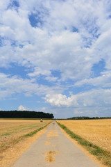 Abgeerntetes Getreidefeld in der Wetterau