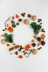 Christmas composition. Wreath made of christmas tree branches , bumps, red berries and  on white background. Flat lay, top view, copy space, circle