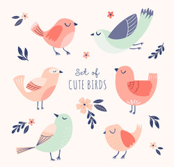 Set of cute vector birds with flowers and leaves. Spring, summer illustration with cartoon funny birds.  - 215357855