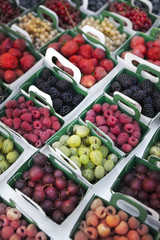 Various Summer fruits