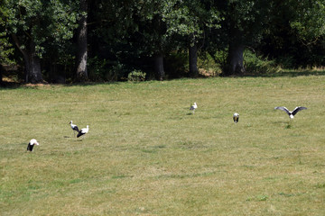 Familienausflug