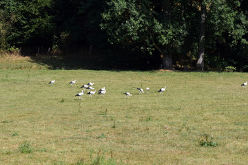 Familienausflug