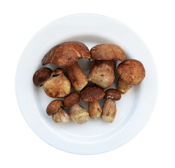 Eight raw whole brown boletus lie on a white plate, isolated on white background, top view. In Europe, the boletus is called the king of mushrooms