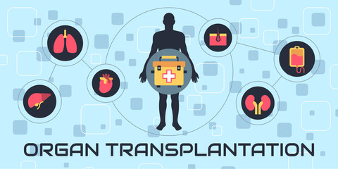 Transplantation vector illustration