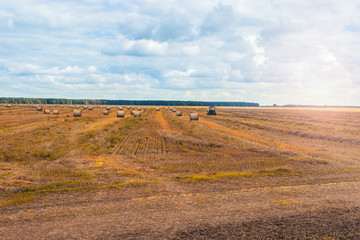 Fototapeta premium Rural landscape with field and haystacks. Countryside landscape and cloudy sky.