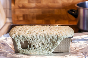 close up of fresh self baked bread
