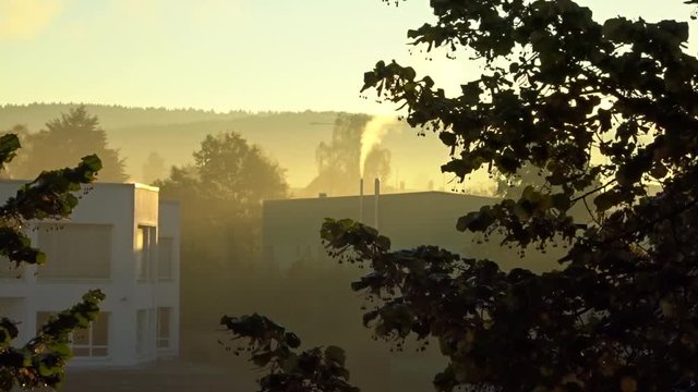 Modern houses in nature sunrise.