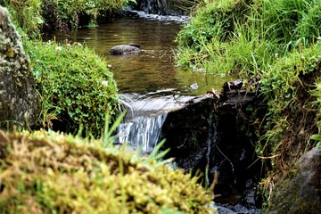 Small river near Pozo Verde in Juan Castro Blanco National Park