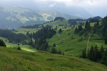 Fototapeta premium Paysage suisse