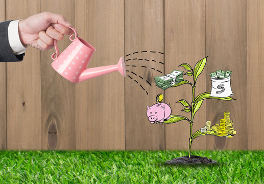 Top view Investment is like planting trees. Take care it will provide a good growth on gray background.Watering can and money tree drawn concept for business investment.