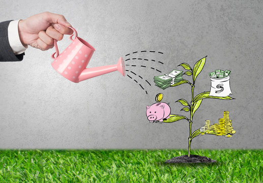 Top view Investment is like planting trees. Take care it will provide a good growth on gray background.Watering can and money tree drawn concept for business investment.