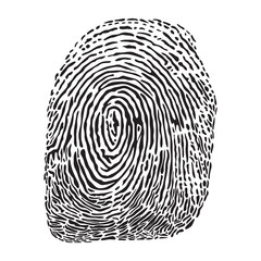 fingerprint vector illustration.