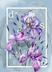 Botanic card with iris flowers, leaves. Spring ornament concept. Floral poster, invite. layout decorative greeting card or invitation design background. Watercolor illustration