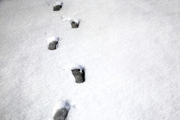 human footprints on white snow background image