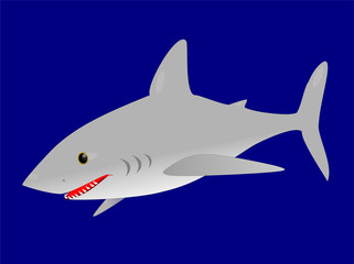 great white shark