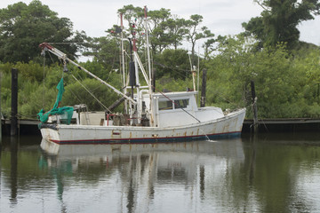 Obraz premium Preparing to Catch Shrimp