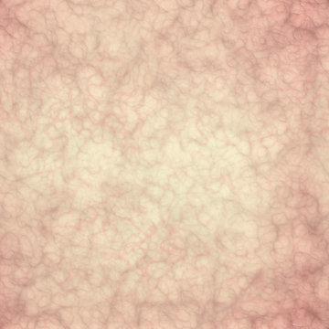 Sezione della pelle, texture della cute di un corpo umano, anatomia. 3d rendering