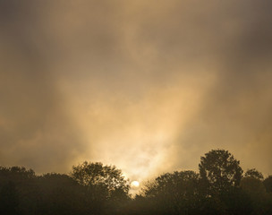 Rays behind the Woodland