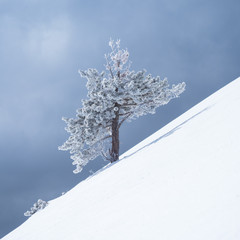 Serra d'Ensija, Berguedà