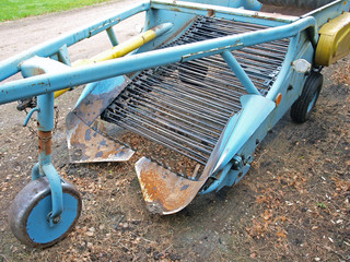 Potato harvester