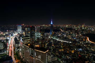 Fototapeta na wymiar 新宿の夜景