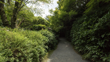 嵐山公園(Kyoto Arashiyama)