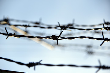 Barbed wire. Barbed wire on fence with blue sky to feel worrying.