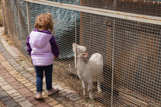 Girl and kid in the zoo