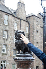 Tourist touching Greyfriars Bobby Statue, Edinburgh, Scotland