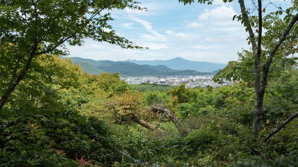 Obraz premium 嵐山公園