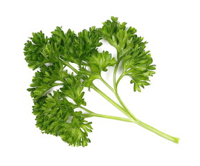 Fresh green parsley leaves isolated on white background, top view