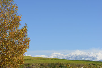 Obraz premium 秋の美瑛