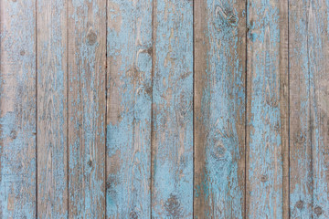 Naklejka premium Texture of old wooden painted vertical boards, background