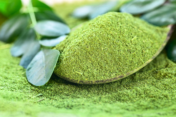 Moringa powder (Moringa Oleifera) in wooden spoon with original leaves