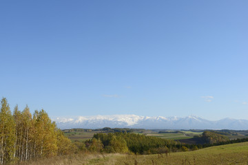 Obraz premium 秋の美瑛