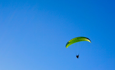 Green paragliding flying during daytime