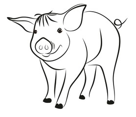 Набросок маленького поросенка.